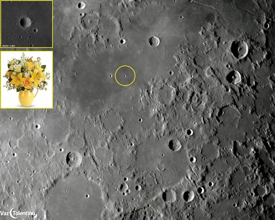 Image_11ca_site