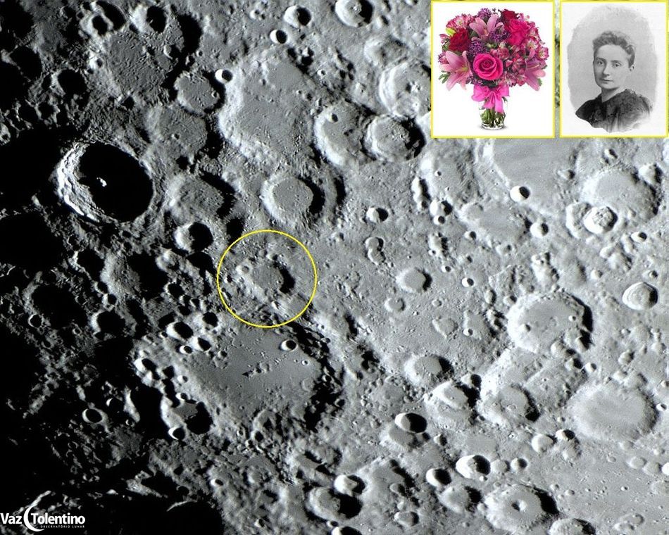 Image_3_proctor_site