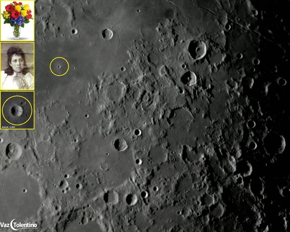 Image_498_-_bruce_site2