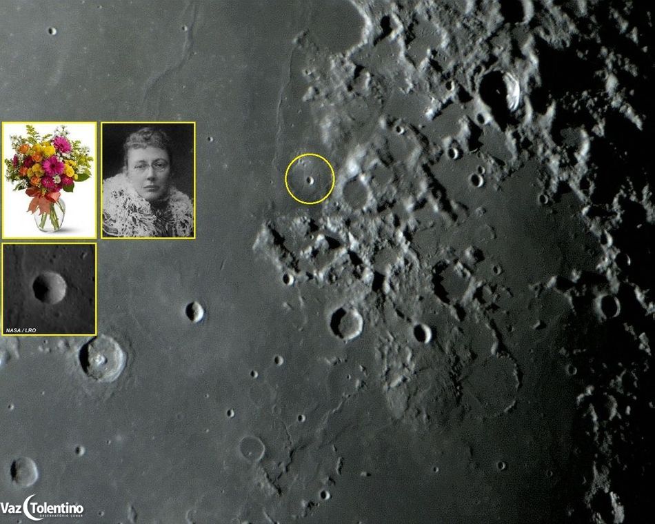 Image_95_bb_clerke_site_2