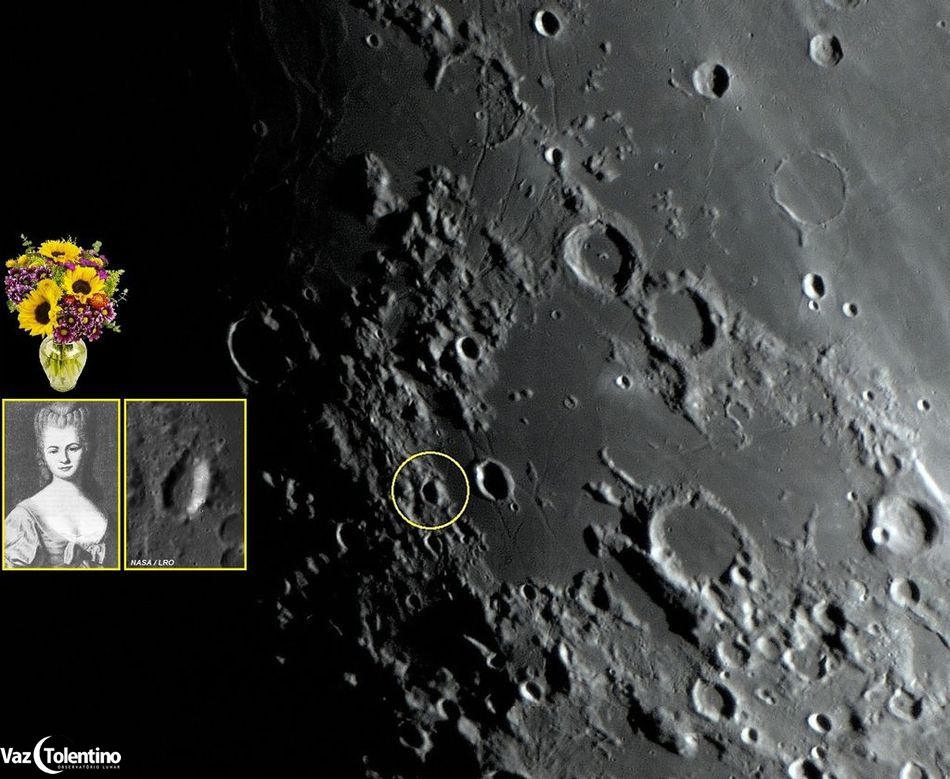 Image_133_lepaute_2b_site2