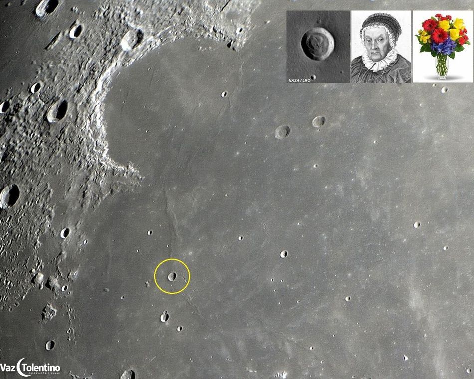 Image_293_c_c_herschel_site2