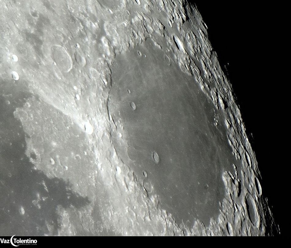 Image_321c