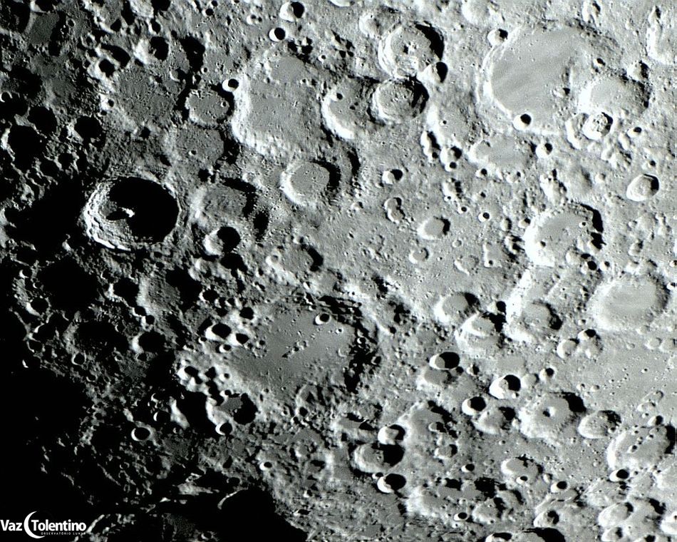 Image_310b