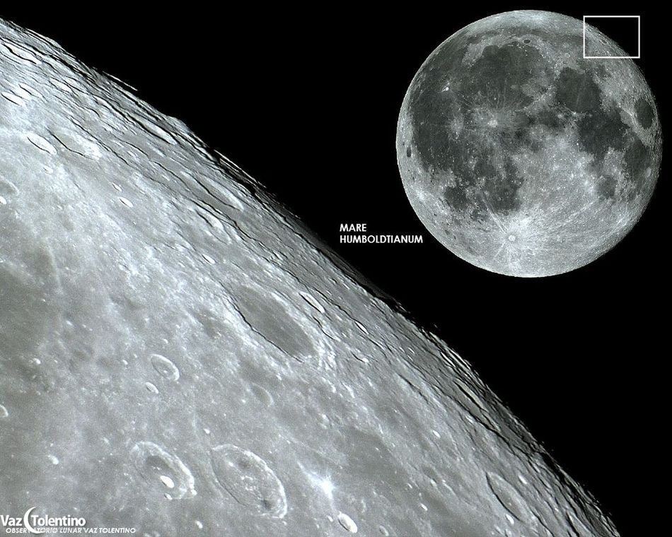 Image_199b1mare_humboldtianum